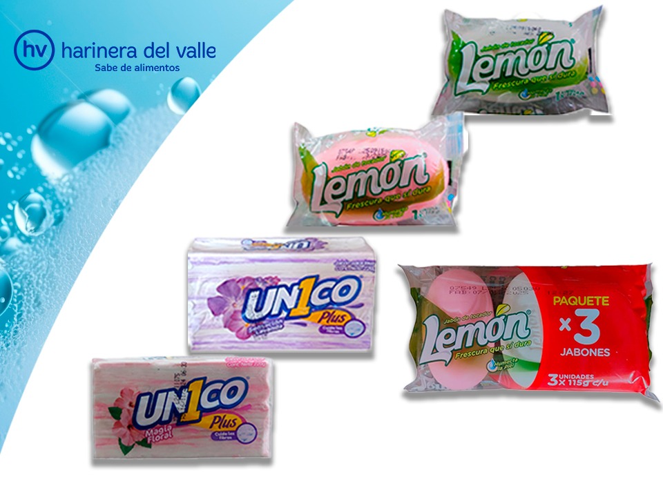 HARINERA LLOREDA ASEO